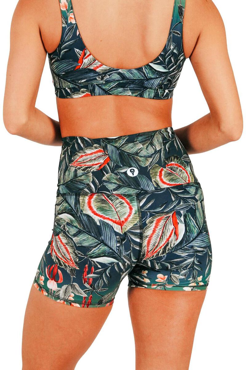 Joey Short - Feeling Ferntastic image number 6