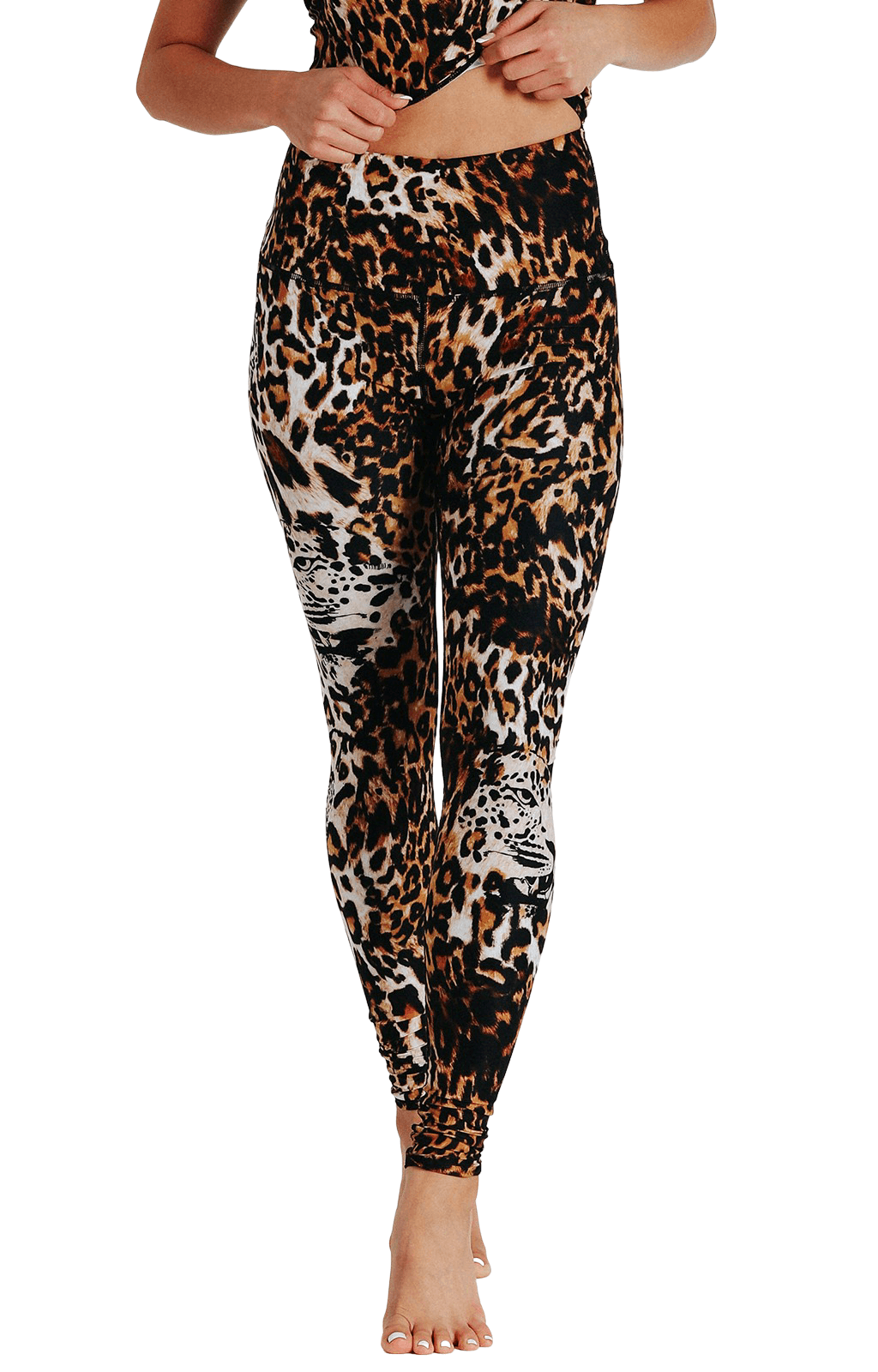 YD Legging - Wildcat image number 1.0