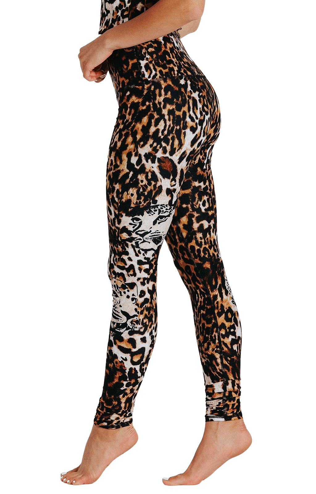 YD Legging - Wildcat image number 2.0