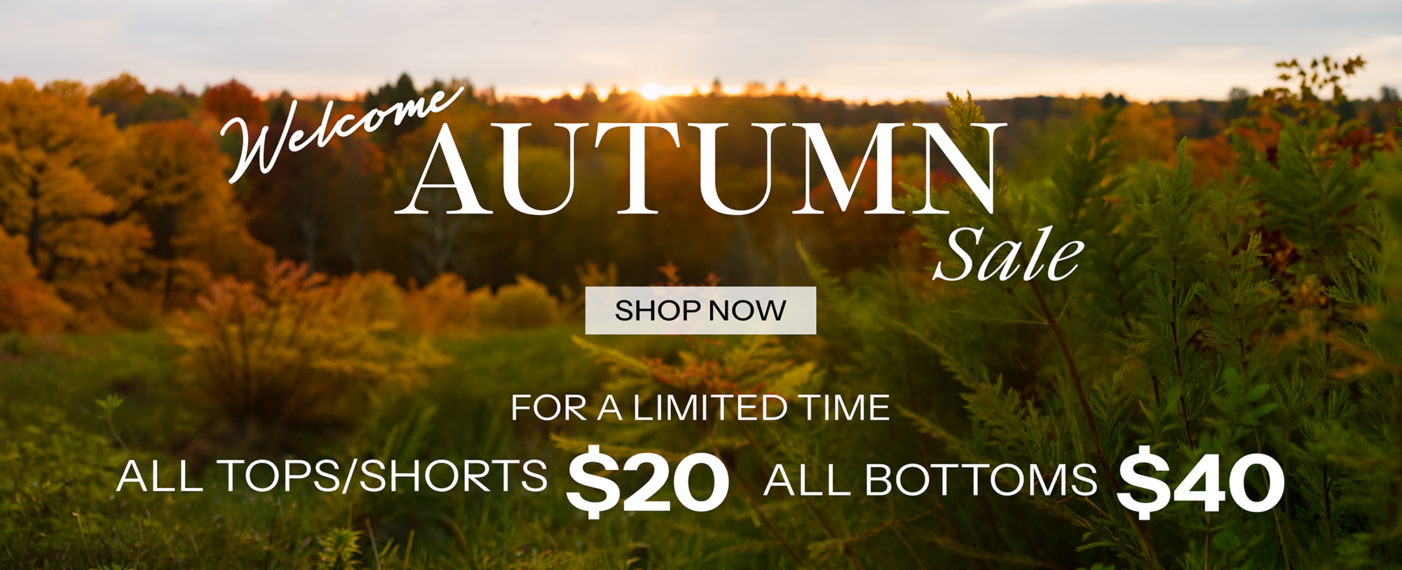 Sitewide Sale