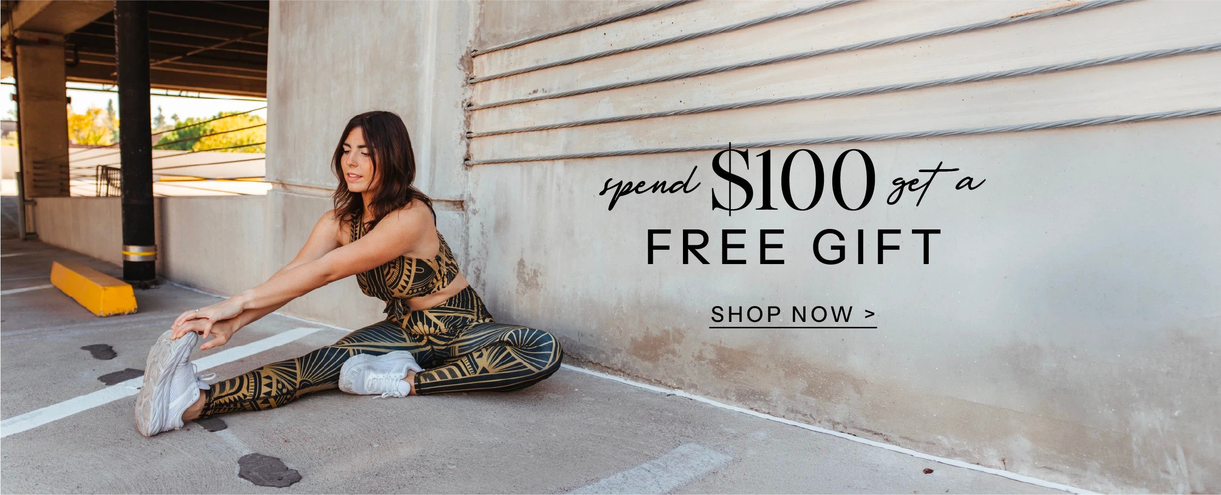 Free Gift With $100 Purchase